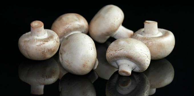 Huby - šampiňóny mushroomy