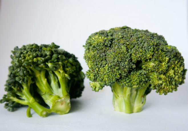 brokolica - 