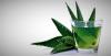 Aloe vera: užitočné vlastnosti rastlín, ktoré máte na svojom okennom parapete