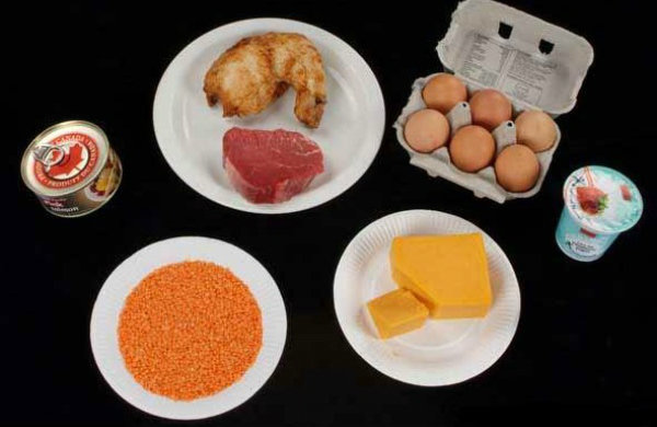 Proteínové potraviny - proteín potraviny