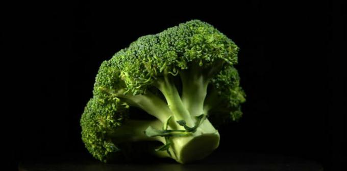 Brokolica - brokolica