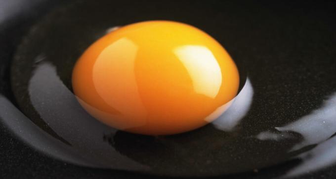 Vaječný bielok - biela vajíčka