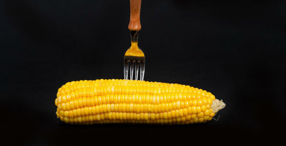 Kukurica - corn