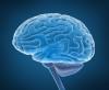 Prvé príznaky nádoru na mozgu