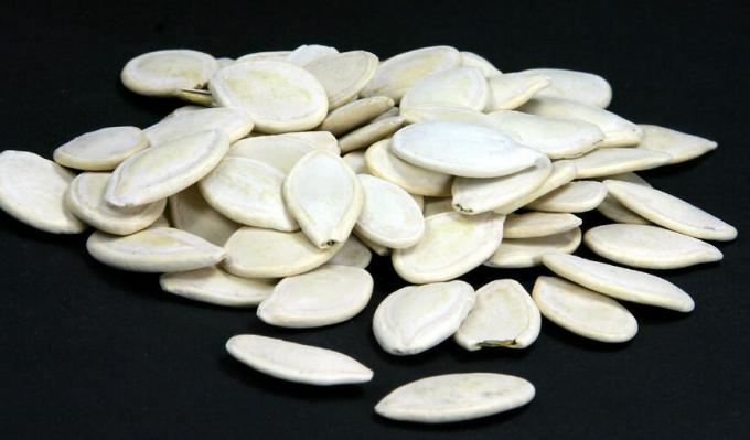  Tekvicové semienka - tekvicové semená