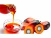 Či palmový olej je zdraviu škodlivý: budú výsledky štúdie prekvapiť