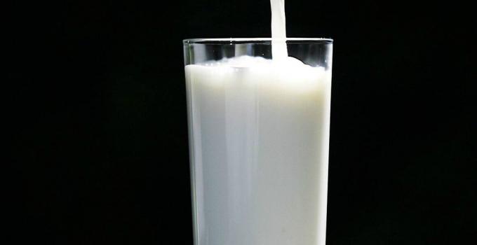 Milk - mlieko
