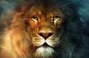 12 vlastnosti Lions, pre ktorú bude milovať