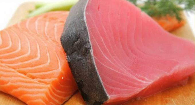 tona mäsa (vpravo) a ryby z čeľade lososov (vľavo) - tuniak a losos rybie mäso