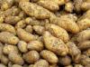 Ako si vybrať bezpečné zemiaky: 13 tipov