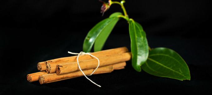 Ceylon škorica - škoricový seylon