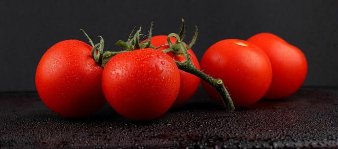 Paradajky - paradajka