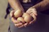 Všetko, čo ste chceli vedieť o kuracích vajciach: 5 základných faktov
